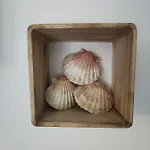 Дом отдыха Maison O Calme