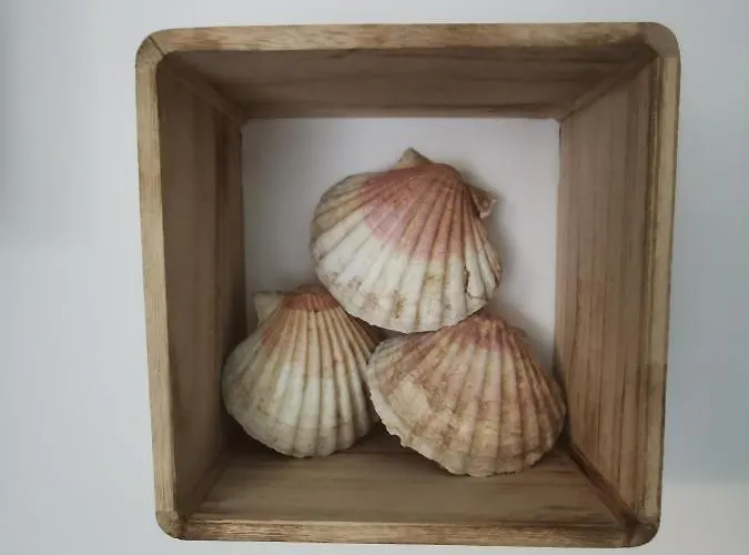 Holiday home Maison O Calme